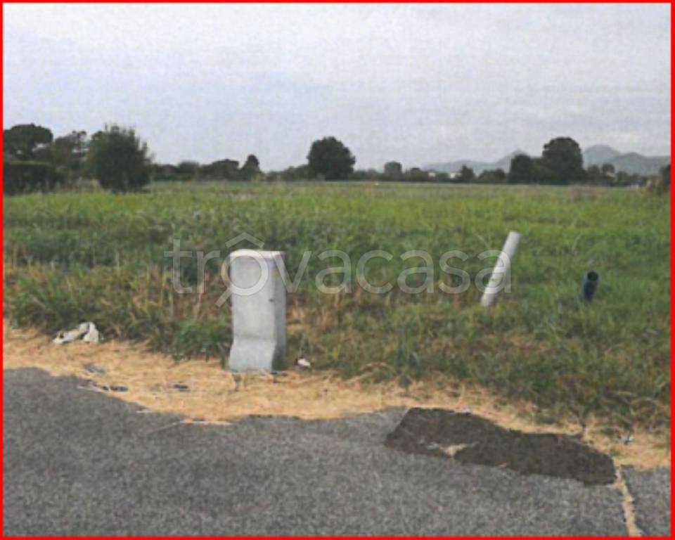 immagine annuncio 10 di 11