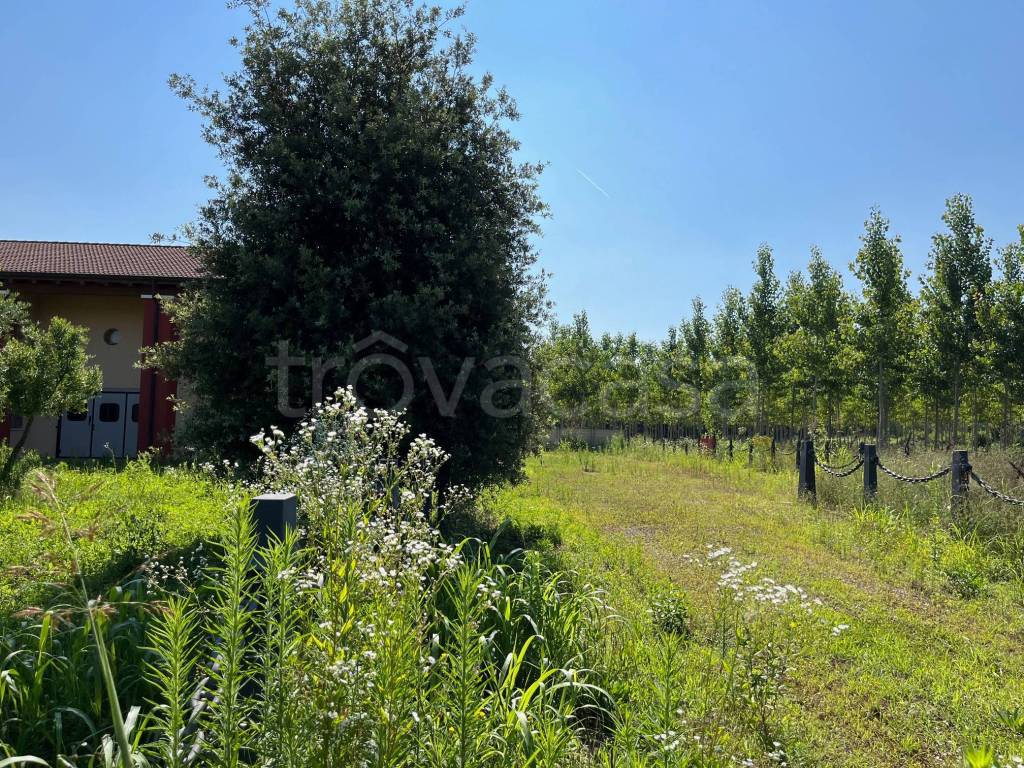 immagine annuncio 6 di 15