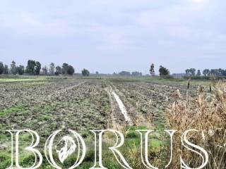 Terreno agricolo in vendita a castel volturno 