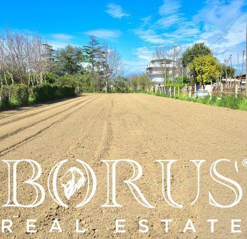 immagine annuncio 3 di 8