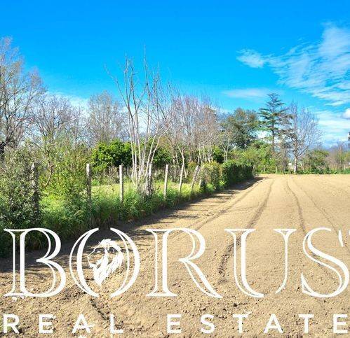 immagine annuncio 4 di 8