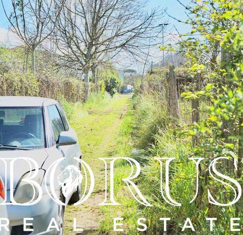 immagine annuncio 7 di 8