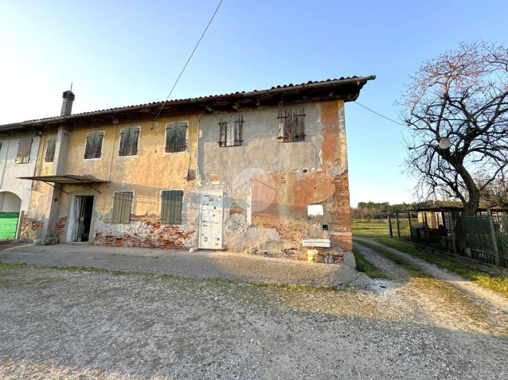 immagine annuncio 2 di 12