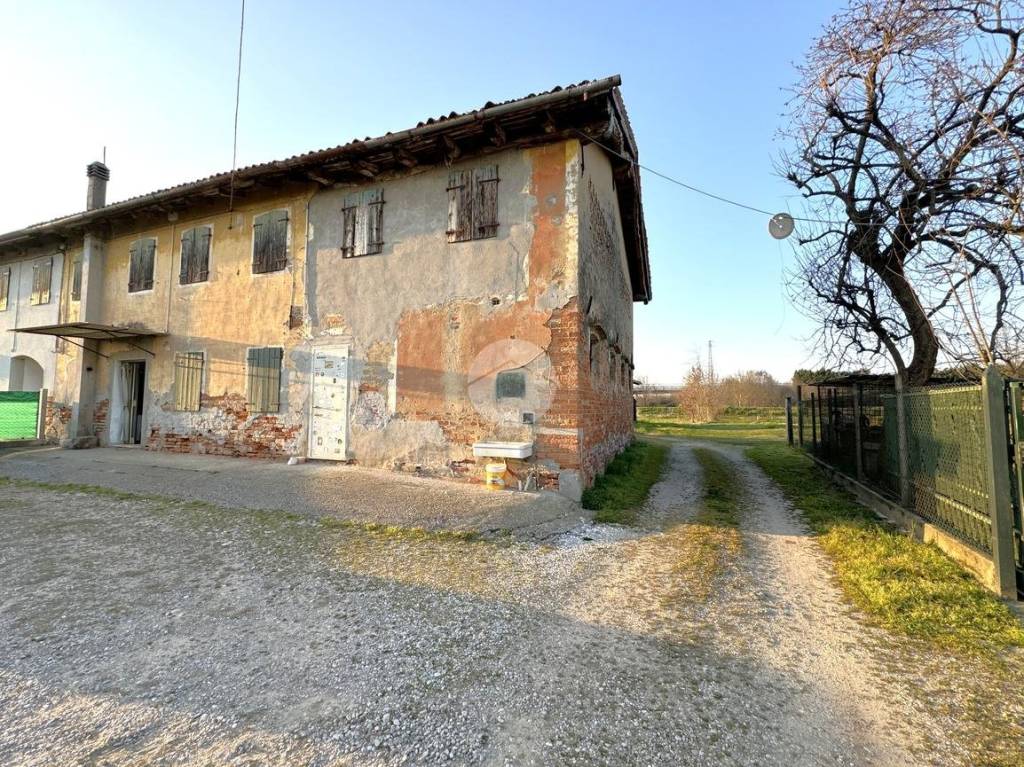 immagine annuncio 5 di 12
