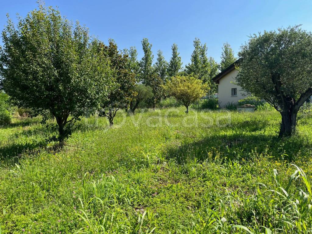 immagine annuncio 5 di 15