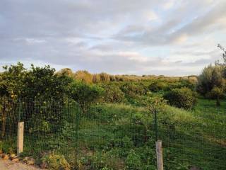 Terreno agricolo in vendita a belpasso 