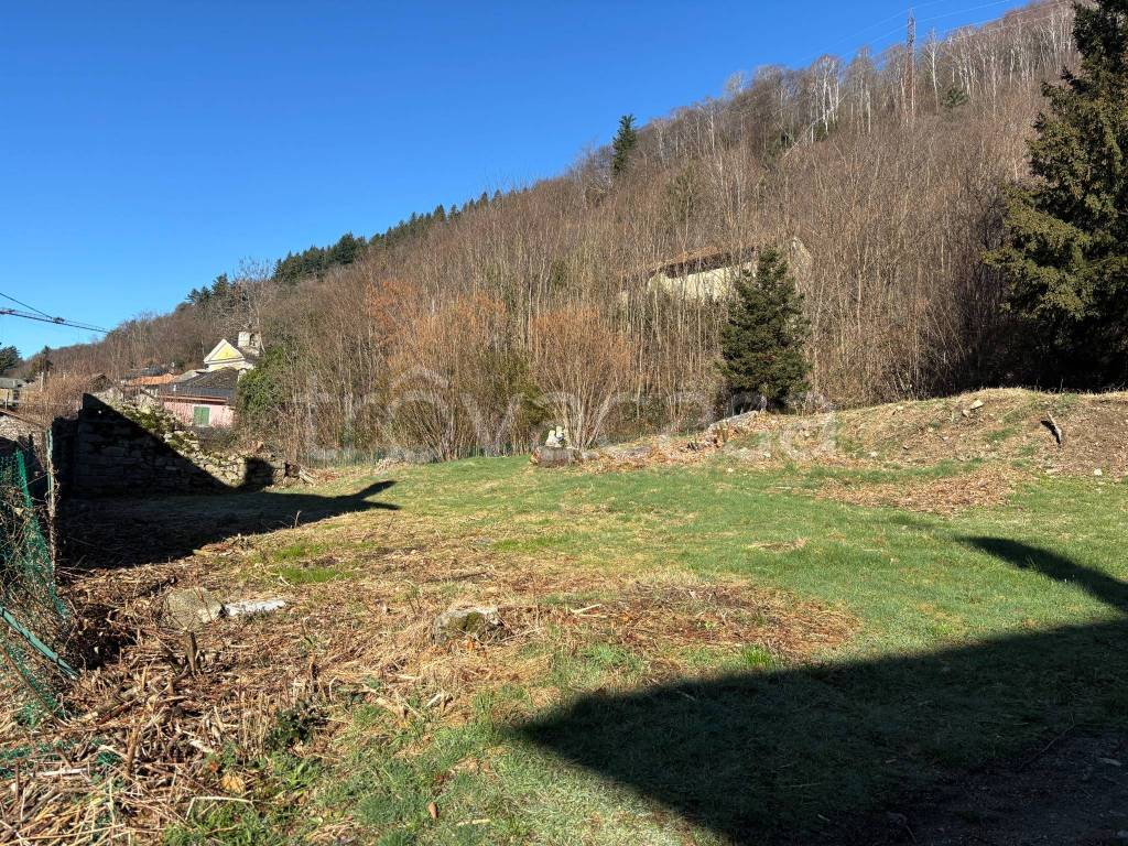 immagine annuncio 9 di 14