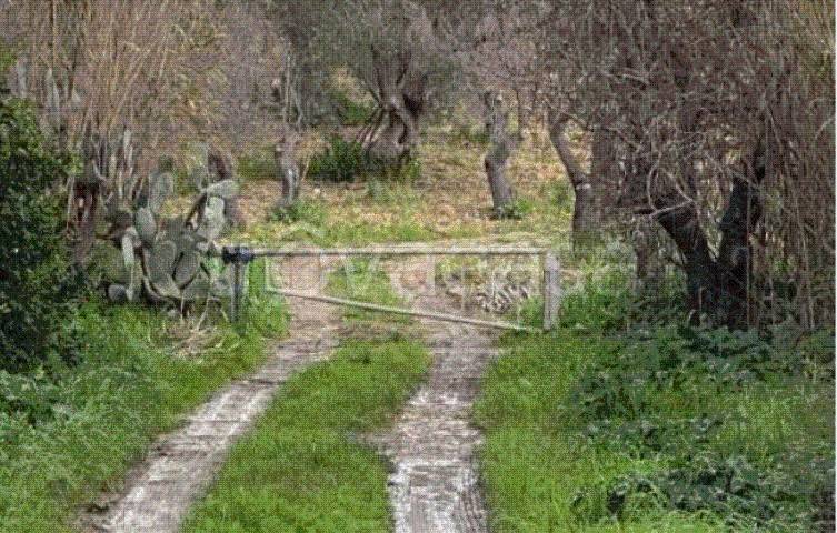 immagine annuncio 7 di 9
