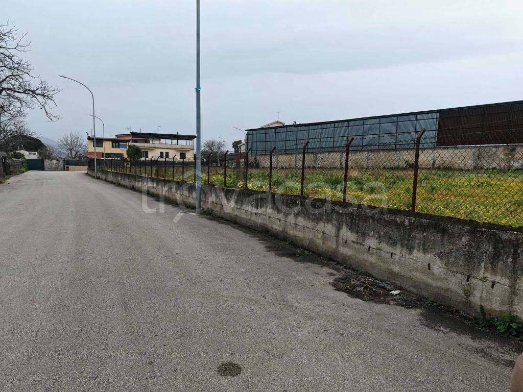 immagine annuncio 4 di 7