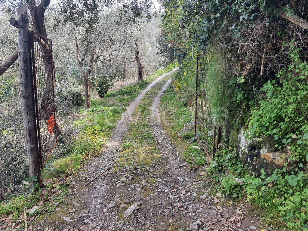 immagine annuncio 5 di 6