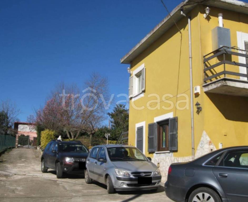 immagine annuncio 9 di 11