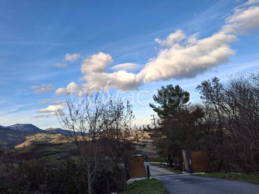 immagine annuncio 12 di 14