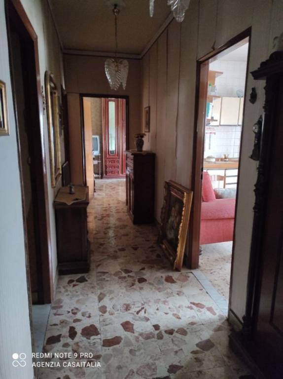immagine annuncio 6 di 14