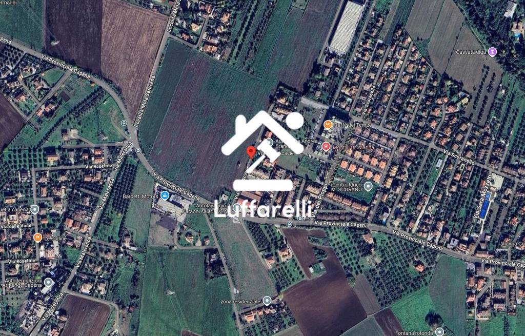 immagine annuncio 3 di 11