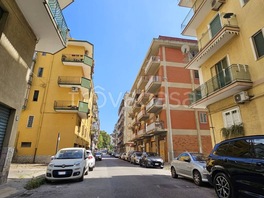 immagine annuncio 11 di 14