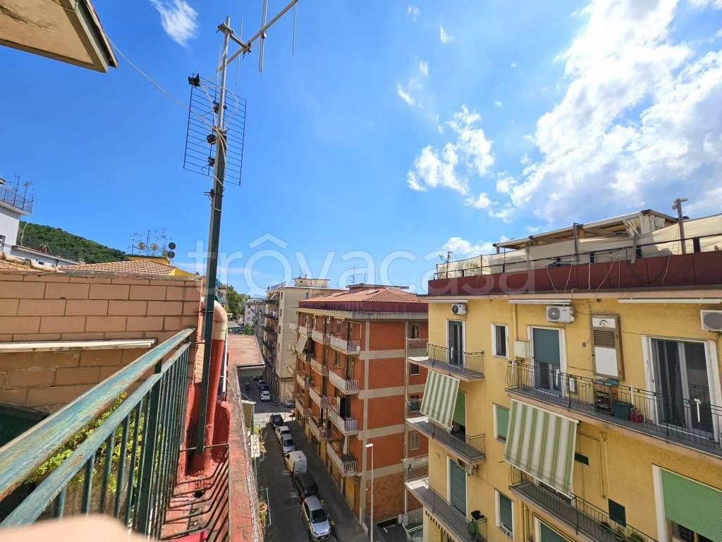 immagine annuncio 4 di 14