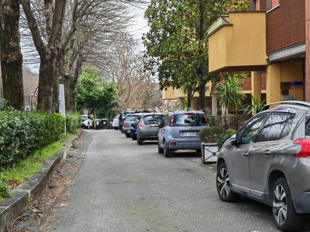 immagine annuncio 3 di 13
