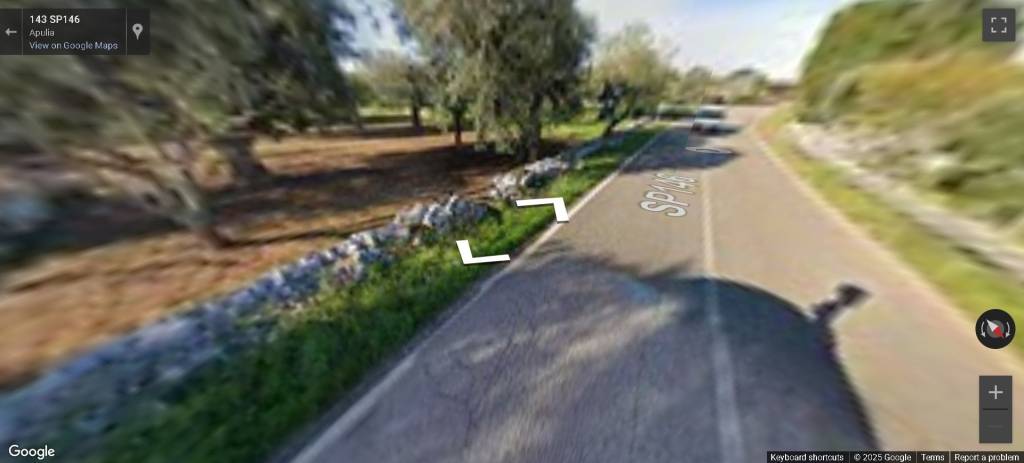 immagine annuncio 12 di 14