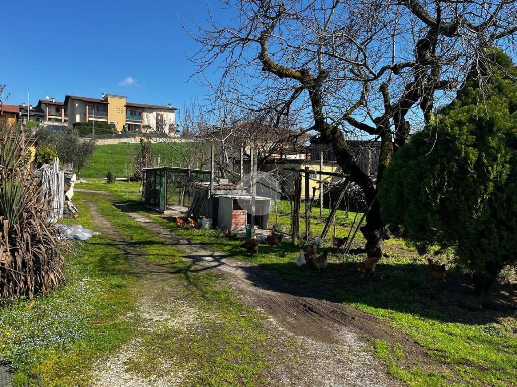 immagine annuncio 3 di 10