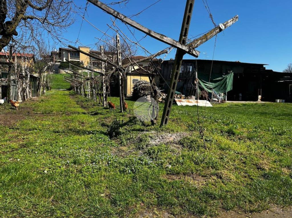 immagine annuncio 4 di 15