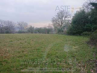 Terreno agricolo all'asta a civitella del tronto contrada santa reparata