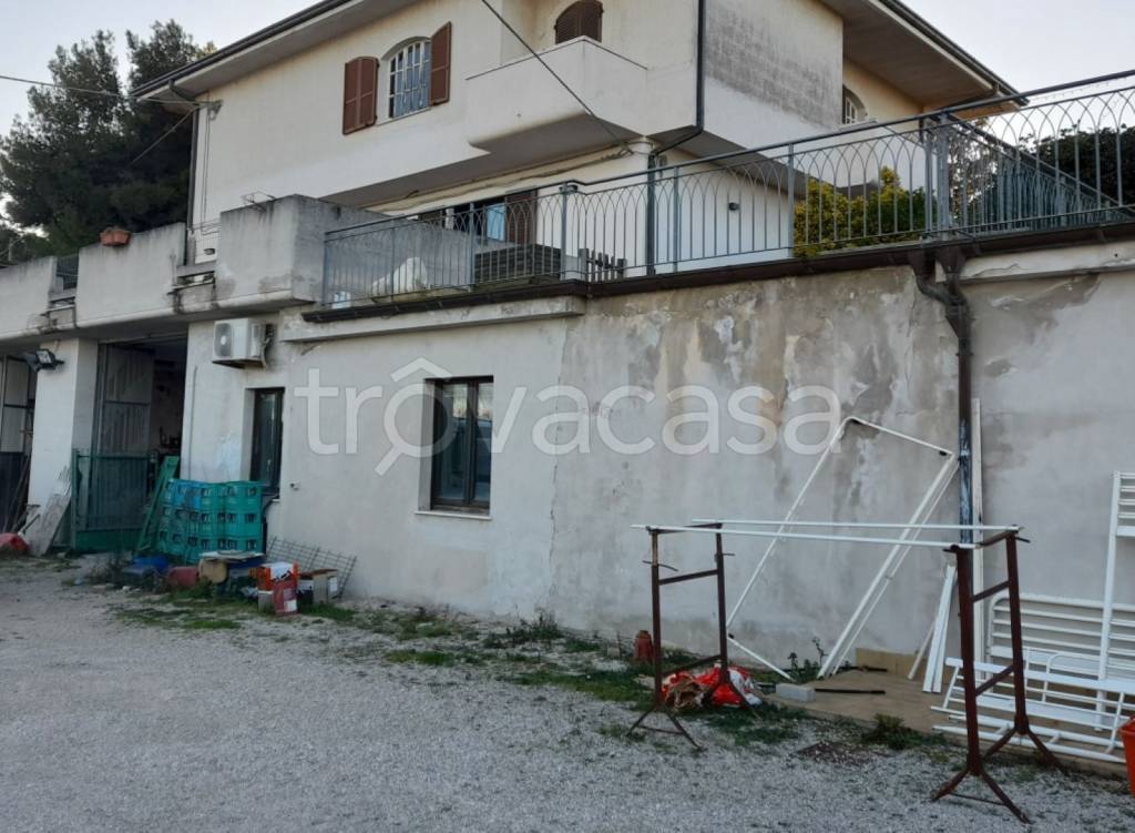 immagine annuncio 9 di 12