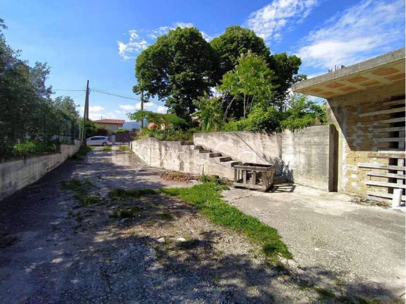 immagine annuncio 5 di 14