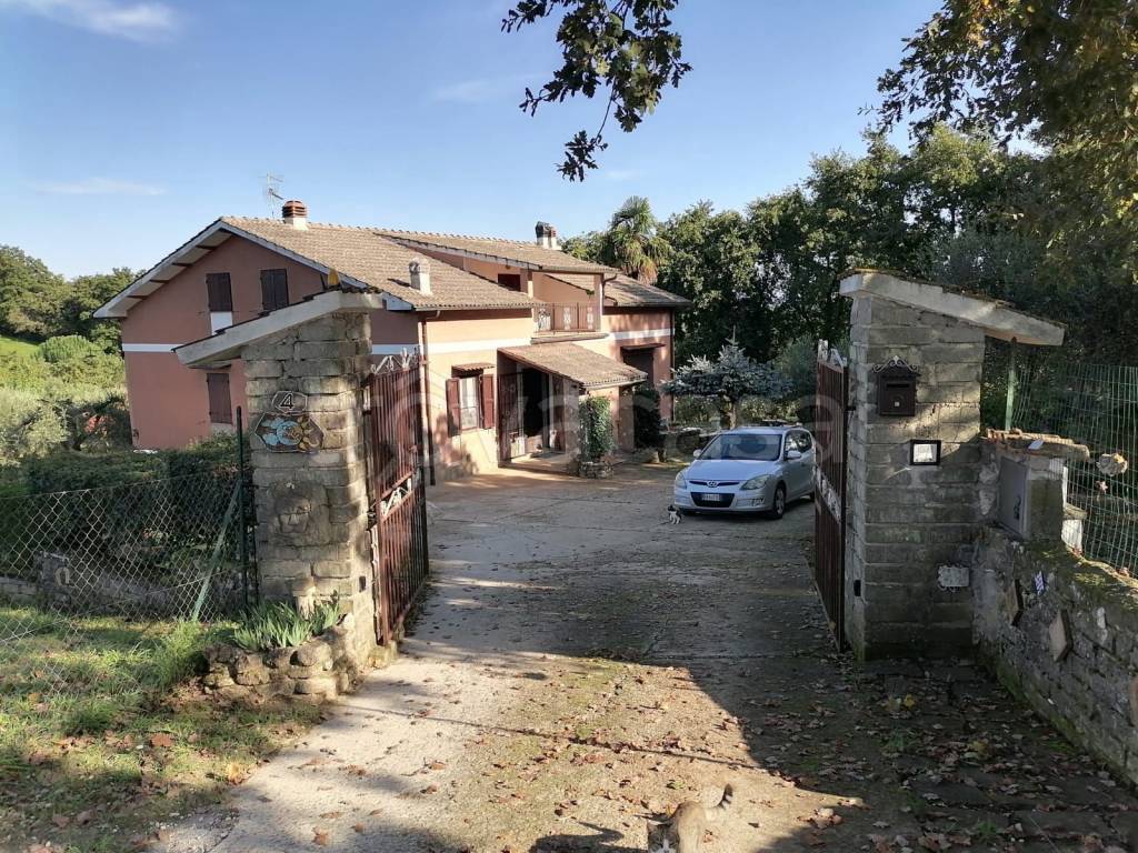 immagine annuncio 6 di 13