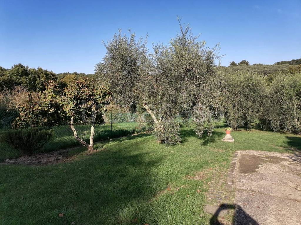 immagine annuncio 7 di 13