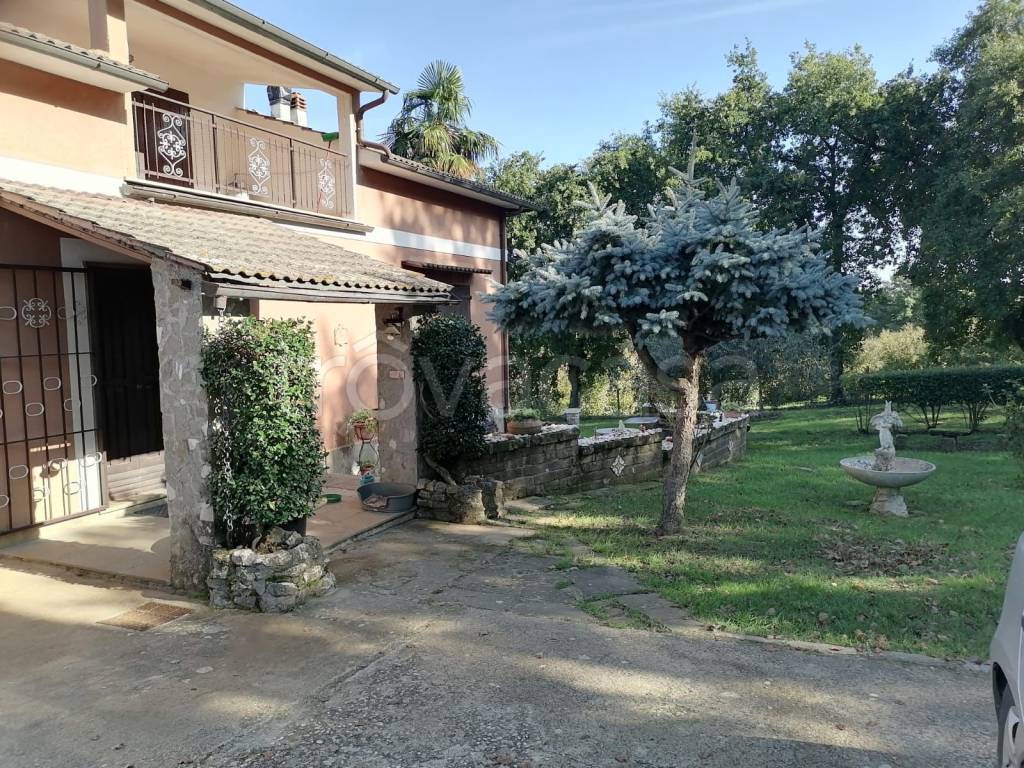 immagine annuncio 9 di 13