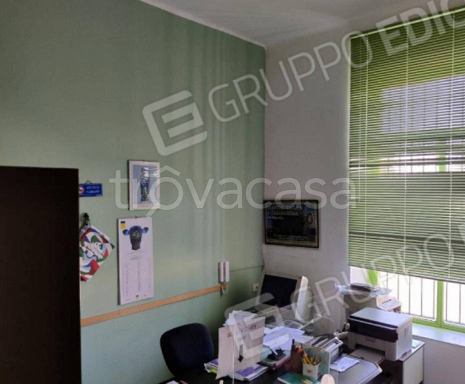 immagine annuncio 9 di 11