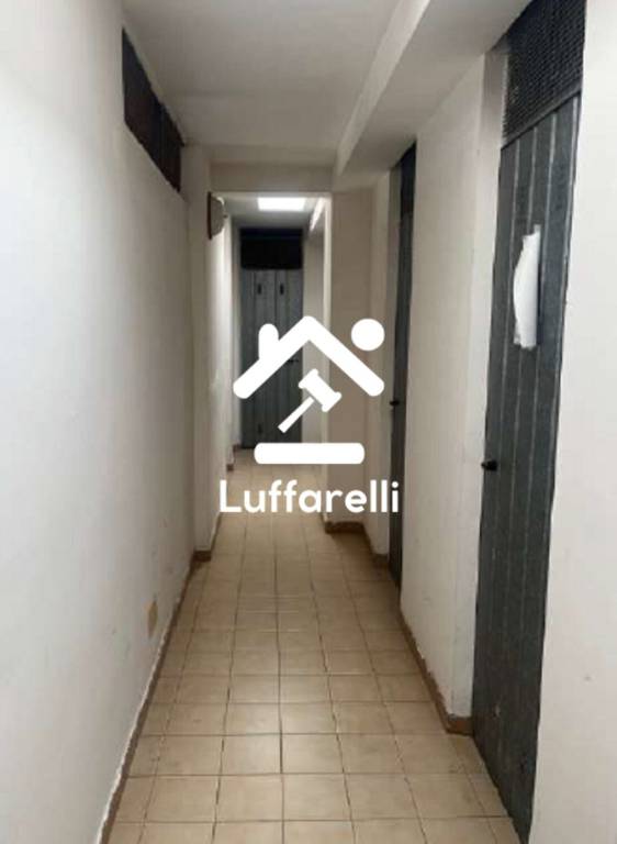 immagine annuncio 12 di 14
