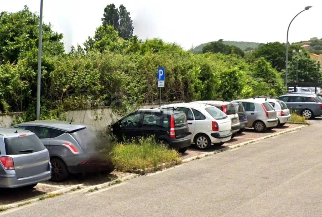 immagine annuncio 8 di 12