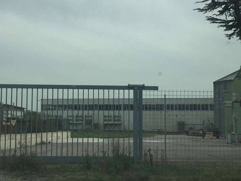 immagine annuncio 6 di 13