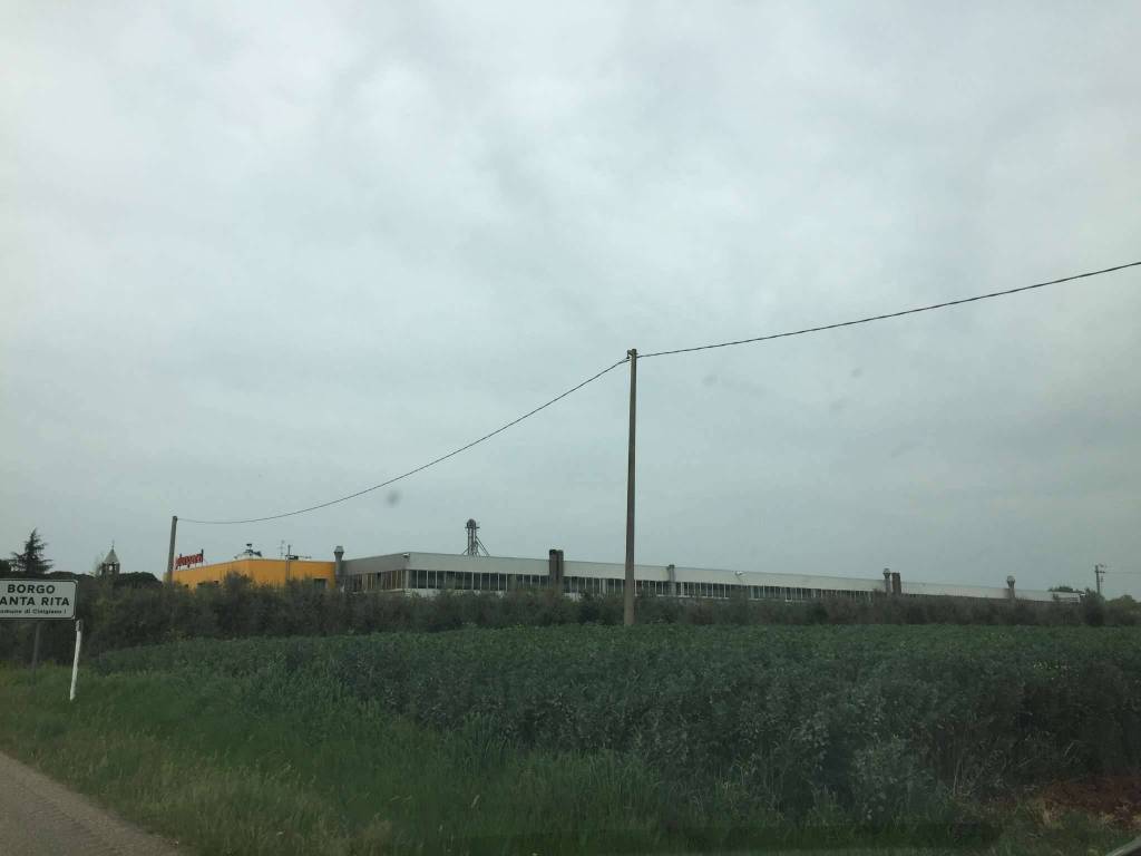 immagine annuncio 7 di 13