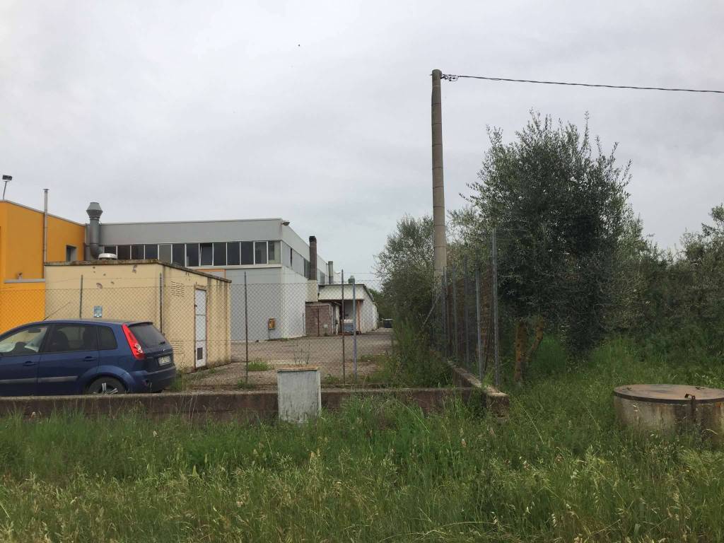 immagine annuncio 8 di 13