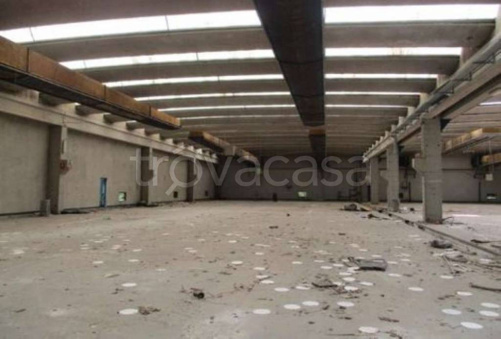 immagine annuncio 7 di 11