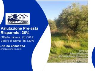 Terreno agricolo all'asta a mottafollone sp123