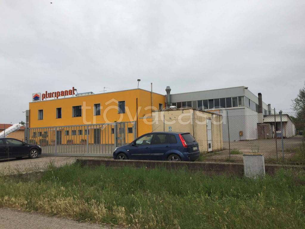 immagine annuncio 12 di 13