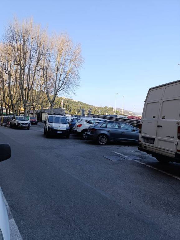 immagine annuncio 10 di 11
