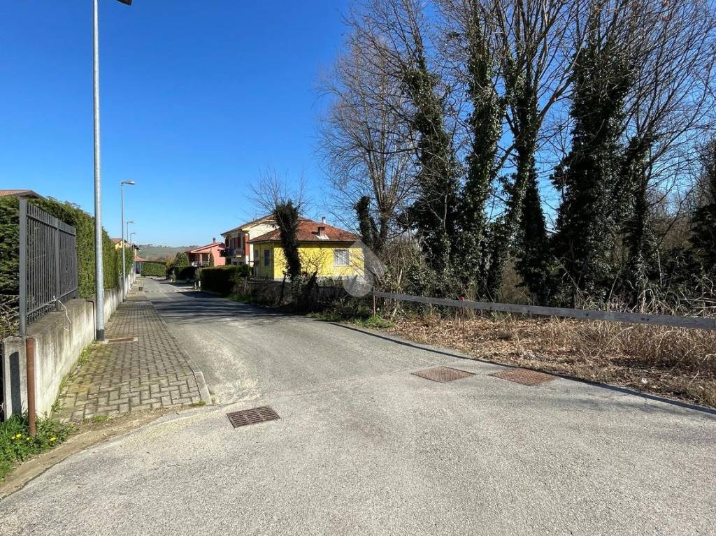 immagine annuncio 5 di 9