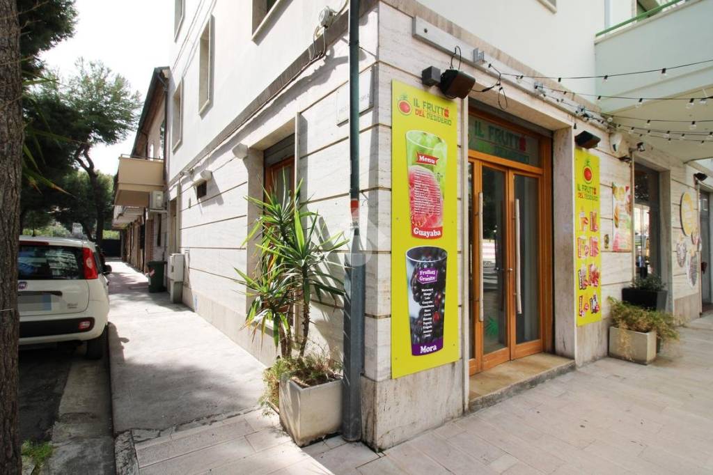 immagine annuncio 12 di 13