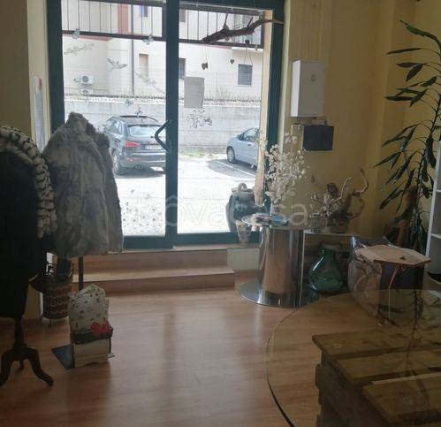 immagine annuncio 3 di 6