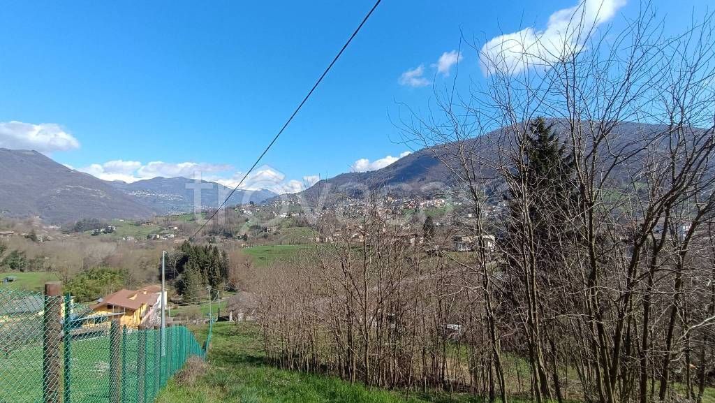 immagine annuncio 2 di 7