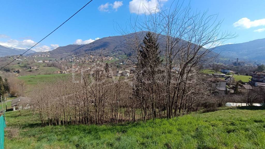 immagine annuncio 4 di 7
