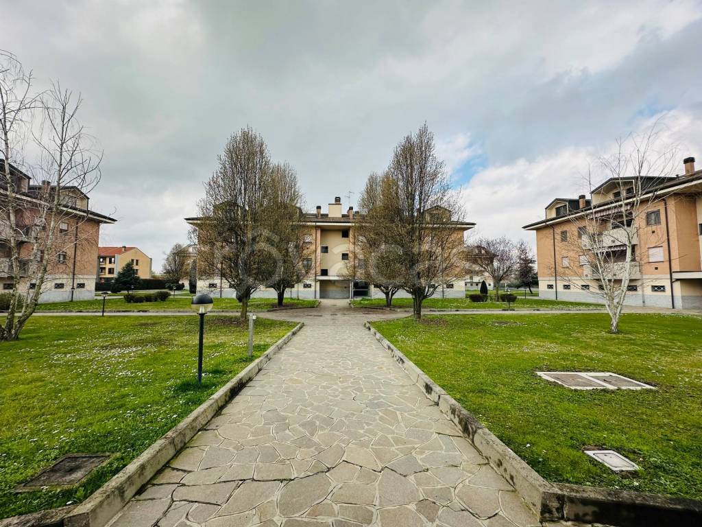 immagine annuncio 3 di 15