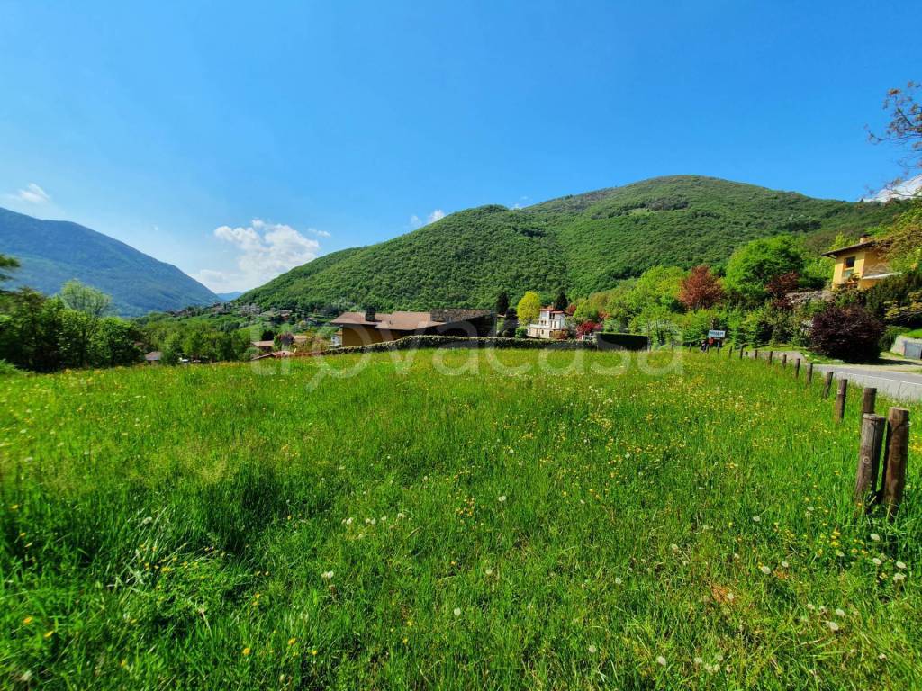 immagine annuncio 5 di 9