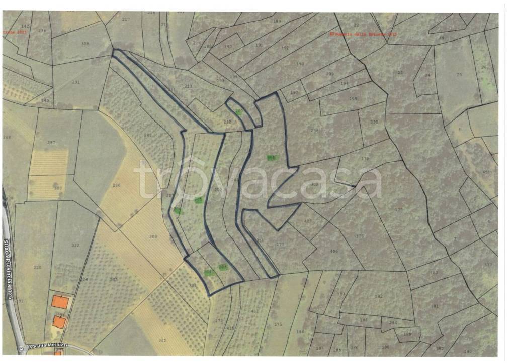 immagine annuncio 3 di 10