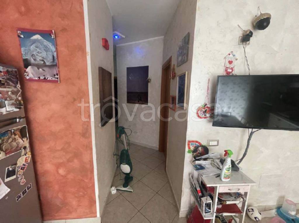 immagine annuncio 9 di 12