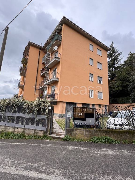 immagine annuncio 11 di 15